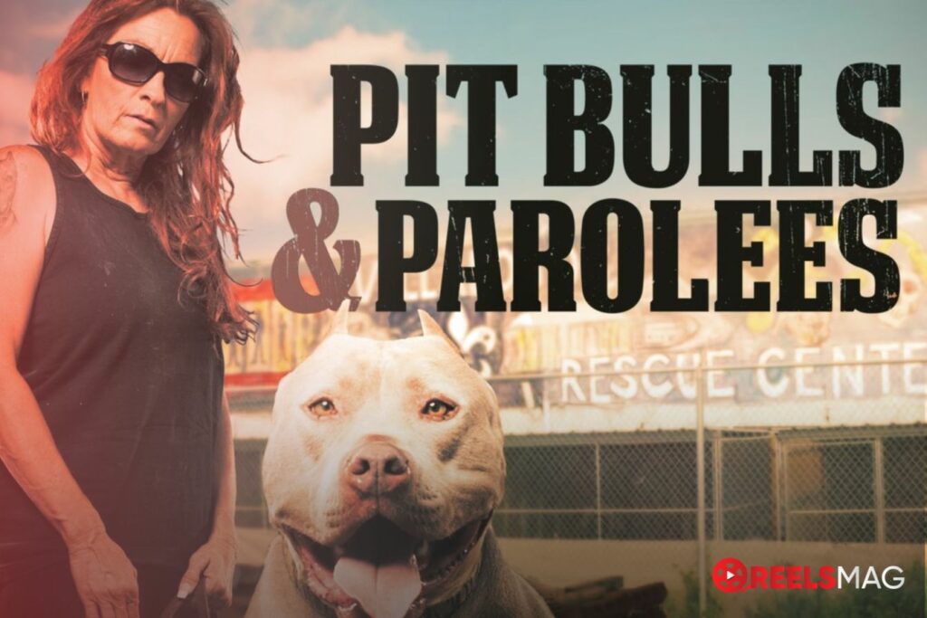 Watch Pit Bulls and Parolees in the UK