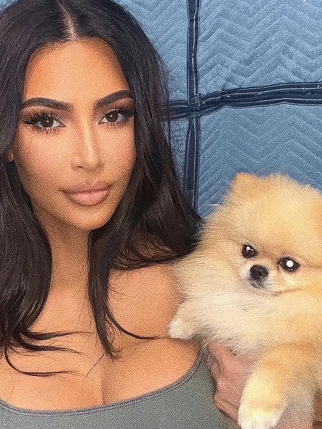 Kim Kardashian Experiences severe Criticism
