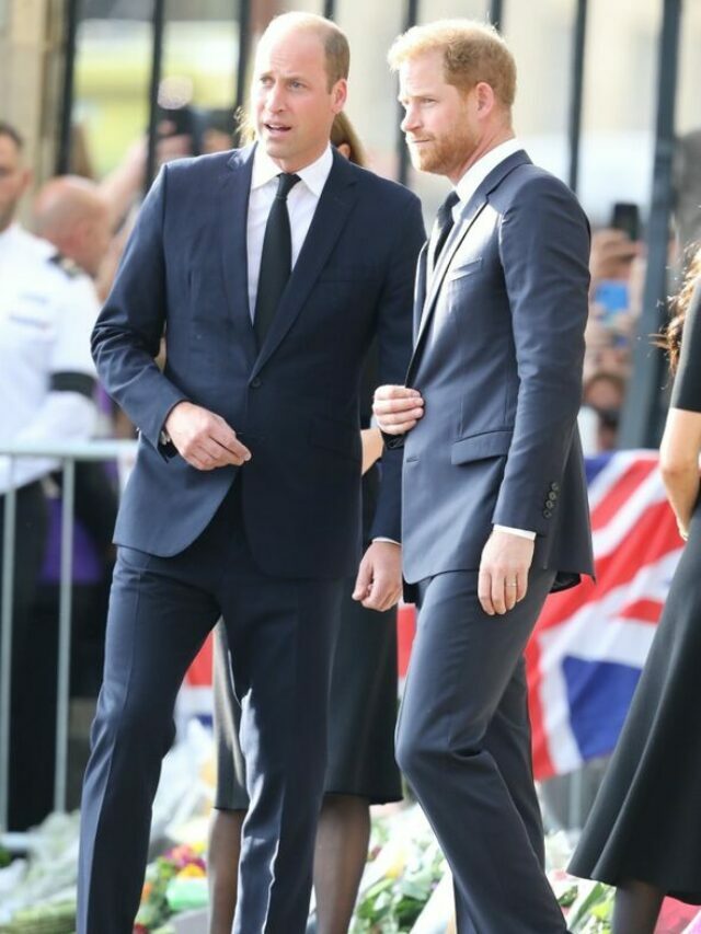 Prince William attacked Prince Harry