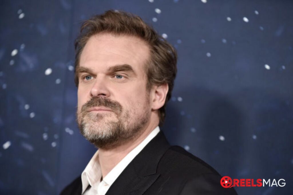 What You Never Knew About Stranger Things’ David Harbour