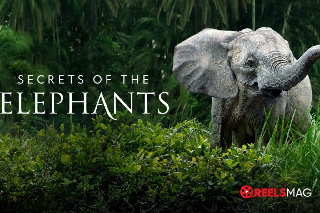 watch Secrets of the Elephants in Canada