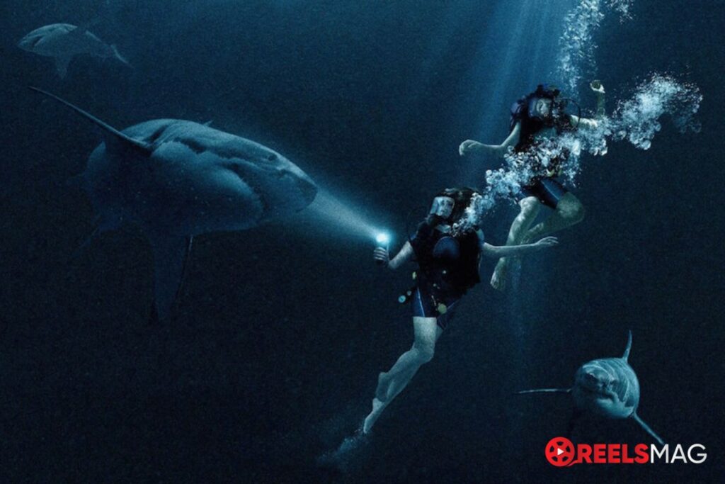 5 best shark movies to watch before Meg 2