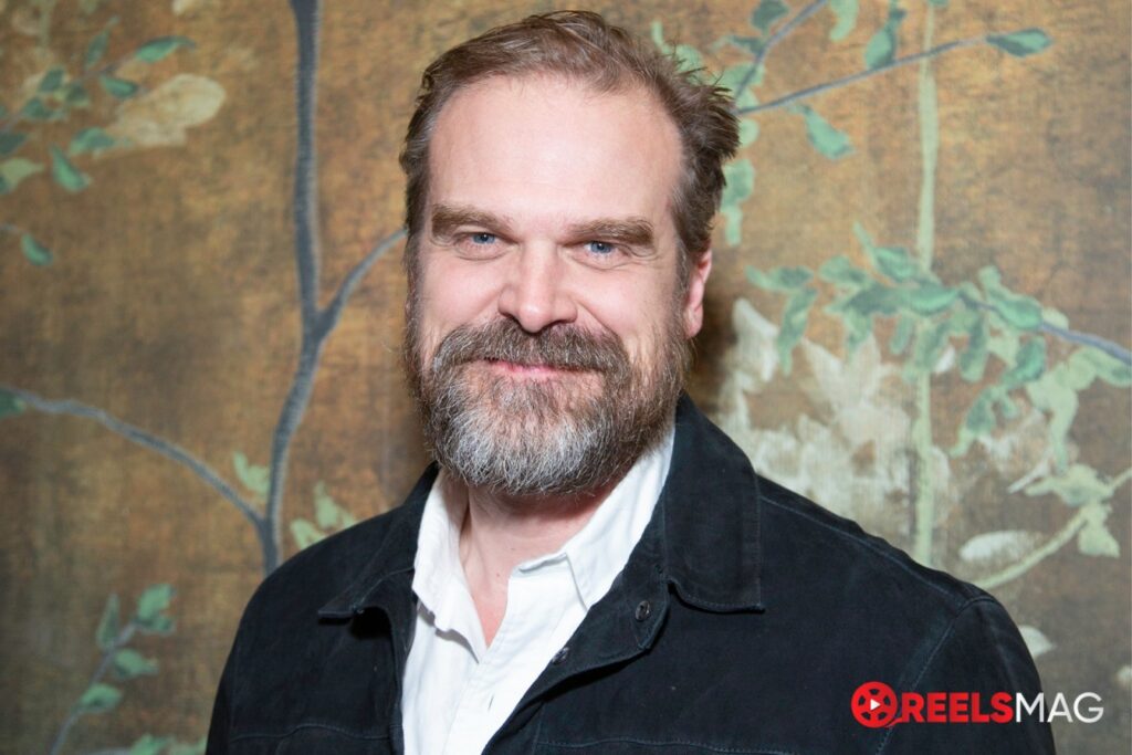 David Harbour says he'll focus on movies after Stranger Things ends: 'I don't want to be just that guy'
