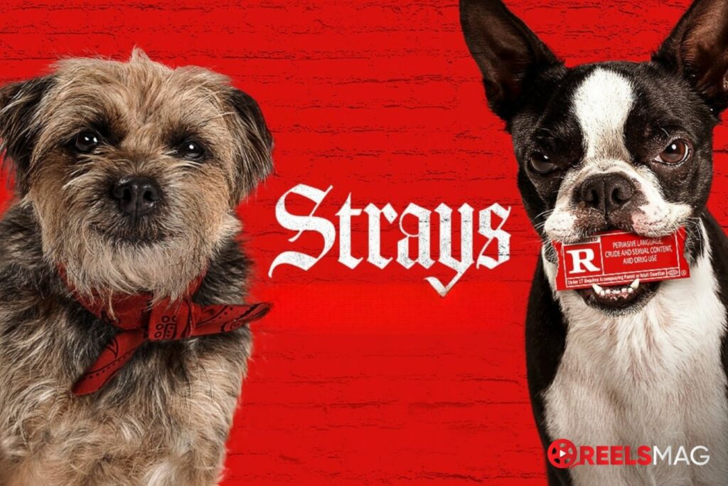watch Strays in the UK