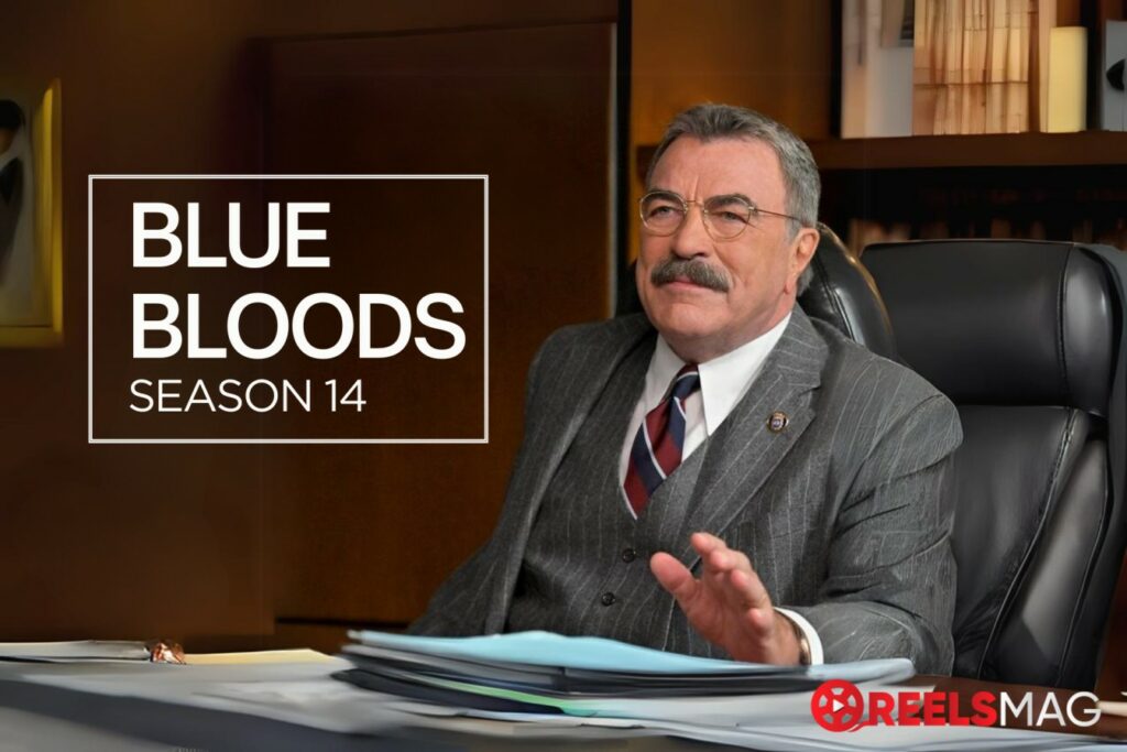 watch Blue Bloods Season 14 in NZ