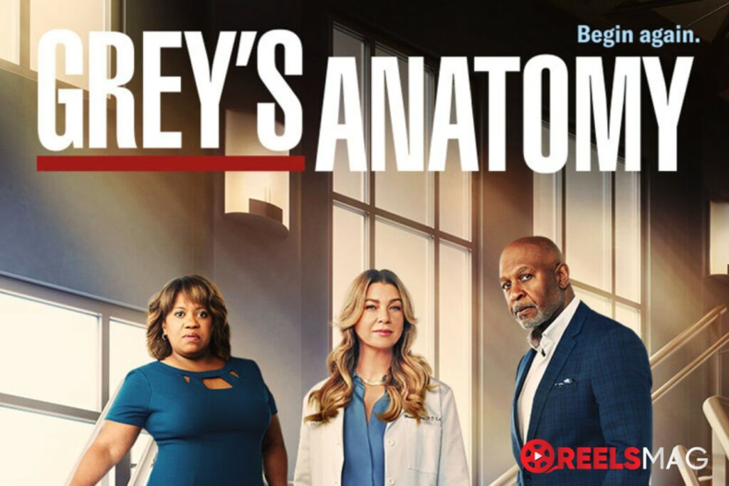 watch Grey's Anatomy Season 20 in Ireland